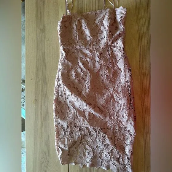 Bardot Lina Lace Sheath dress in pink rose - size 10/L NWOT
