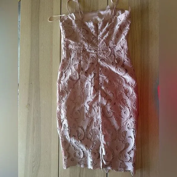 Bardot Lina Lace Sheath dress in pink rose - size 10/L NWOT