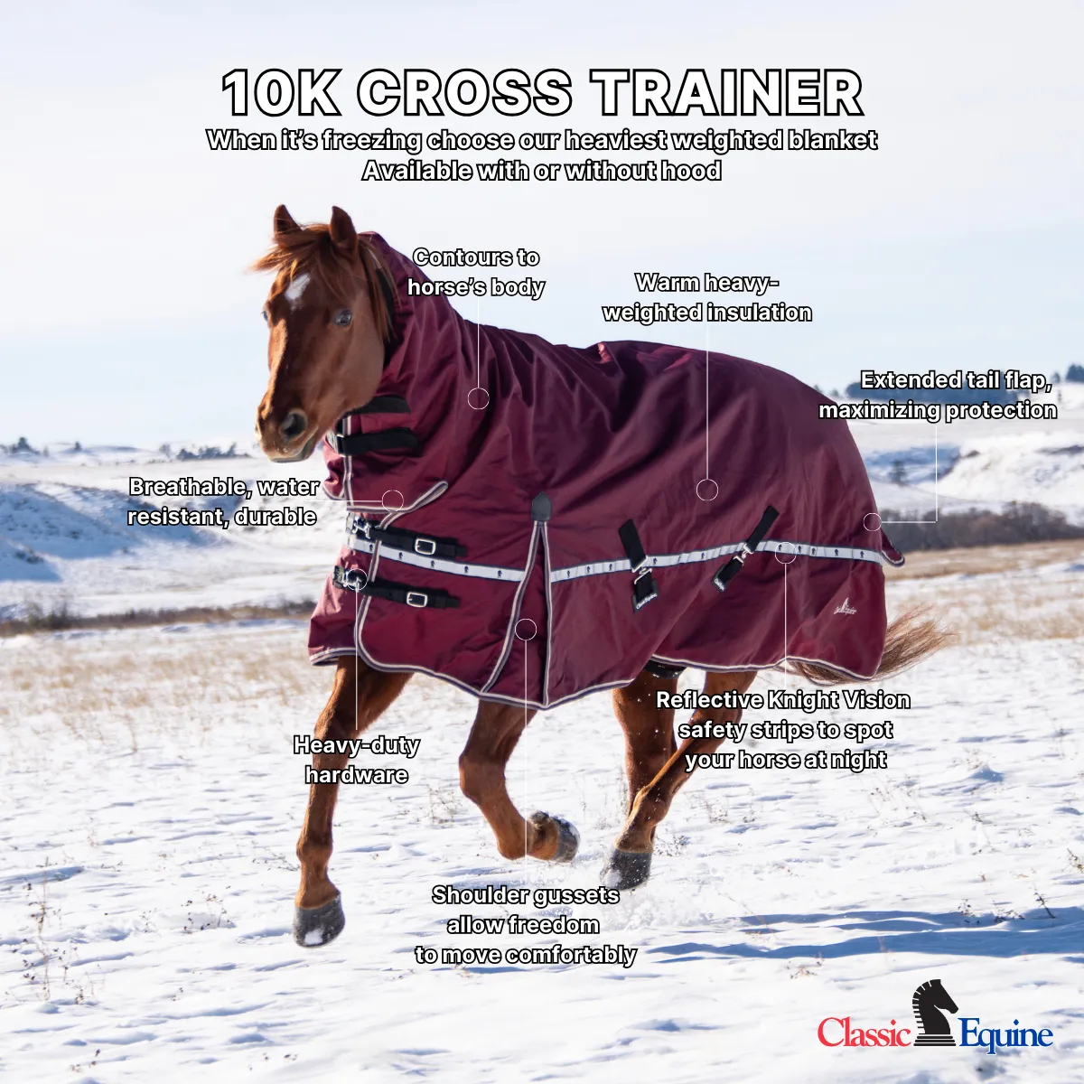Classic Equine 10K Cross Trainer Turnout Blanket- Port