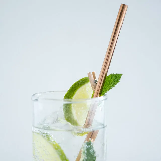 Eco-Friendly Reusable Straws - 2 Piece