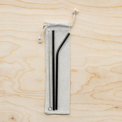 Eco-Friendly Reusable Straws - 2 Piece