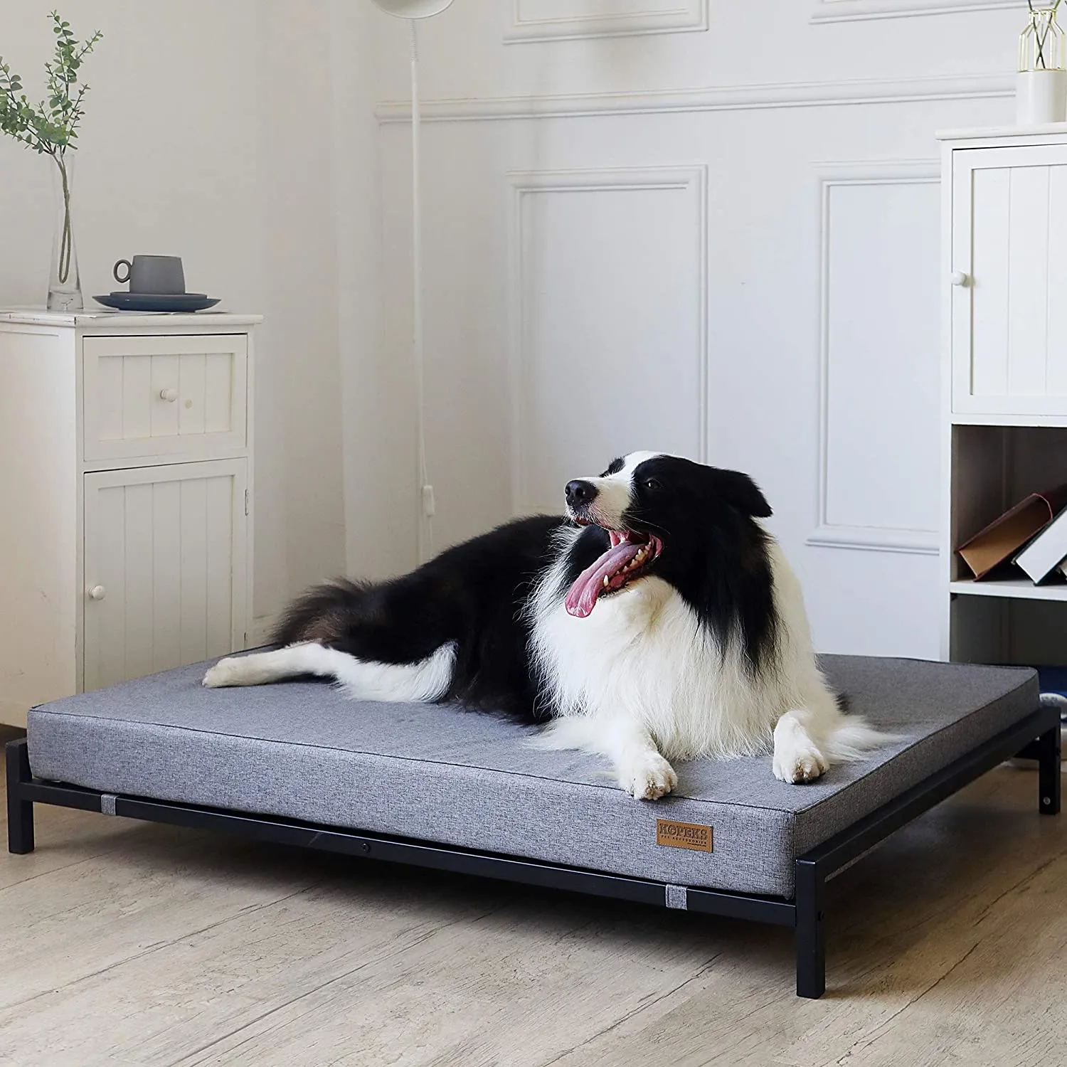Elevated Dog Bed with Orthopedic Foam Mattress - Modern Style - For Large Dogs