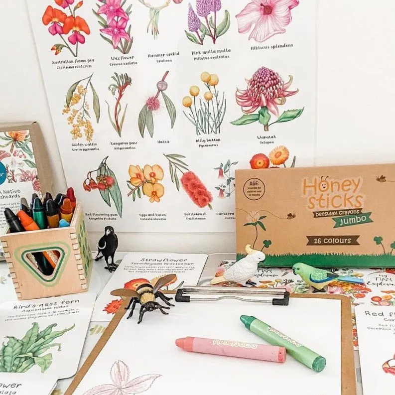 Jumbo Crayons - 12M 