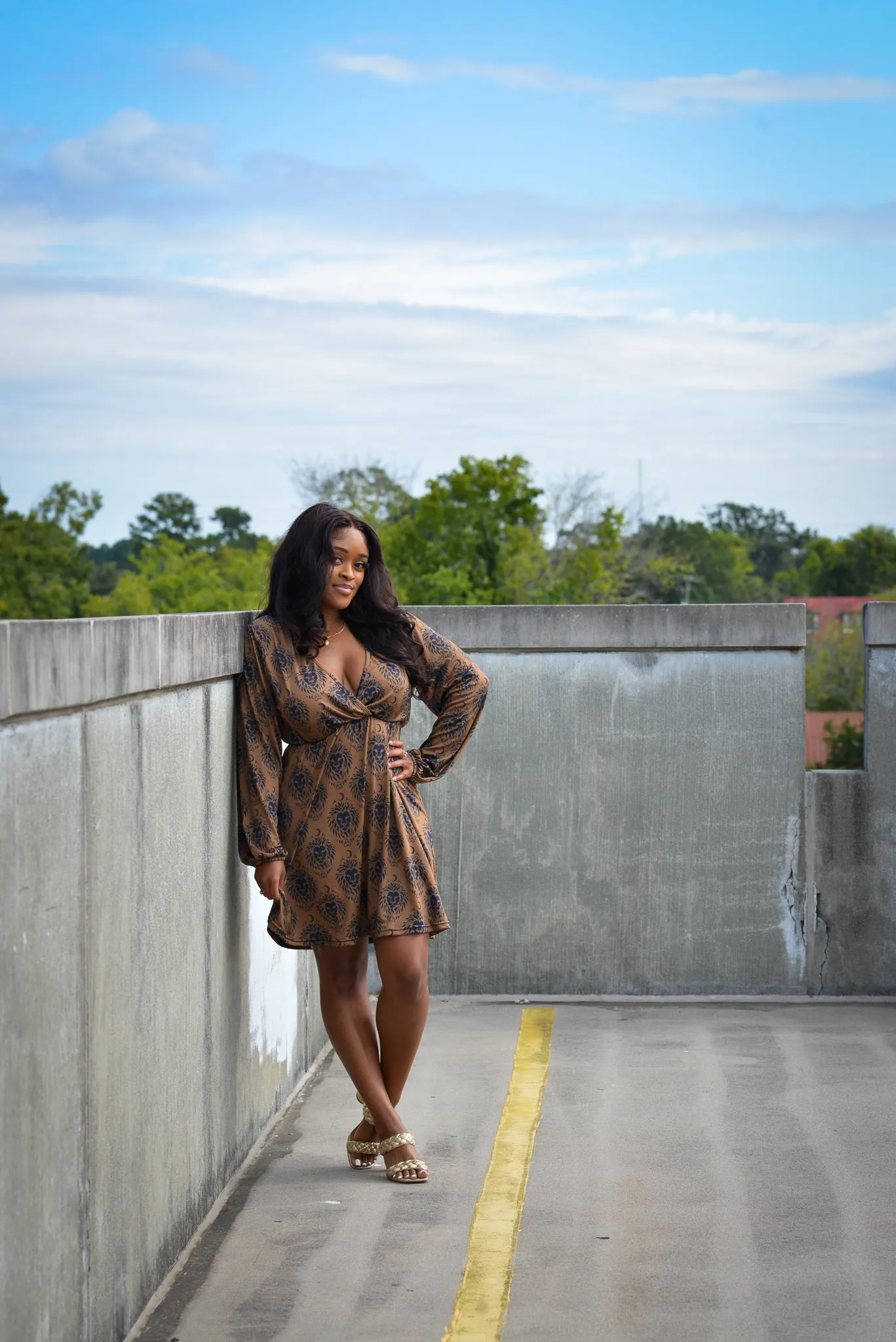 Long Sleeve Lion Logo Dress
