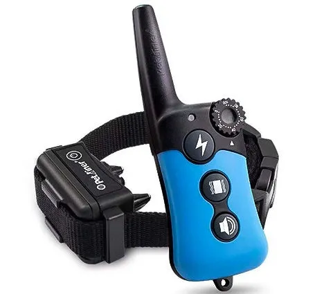 Pet Trainer for Behavioral Training And Obedience