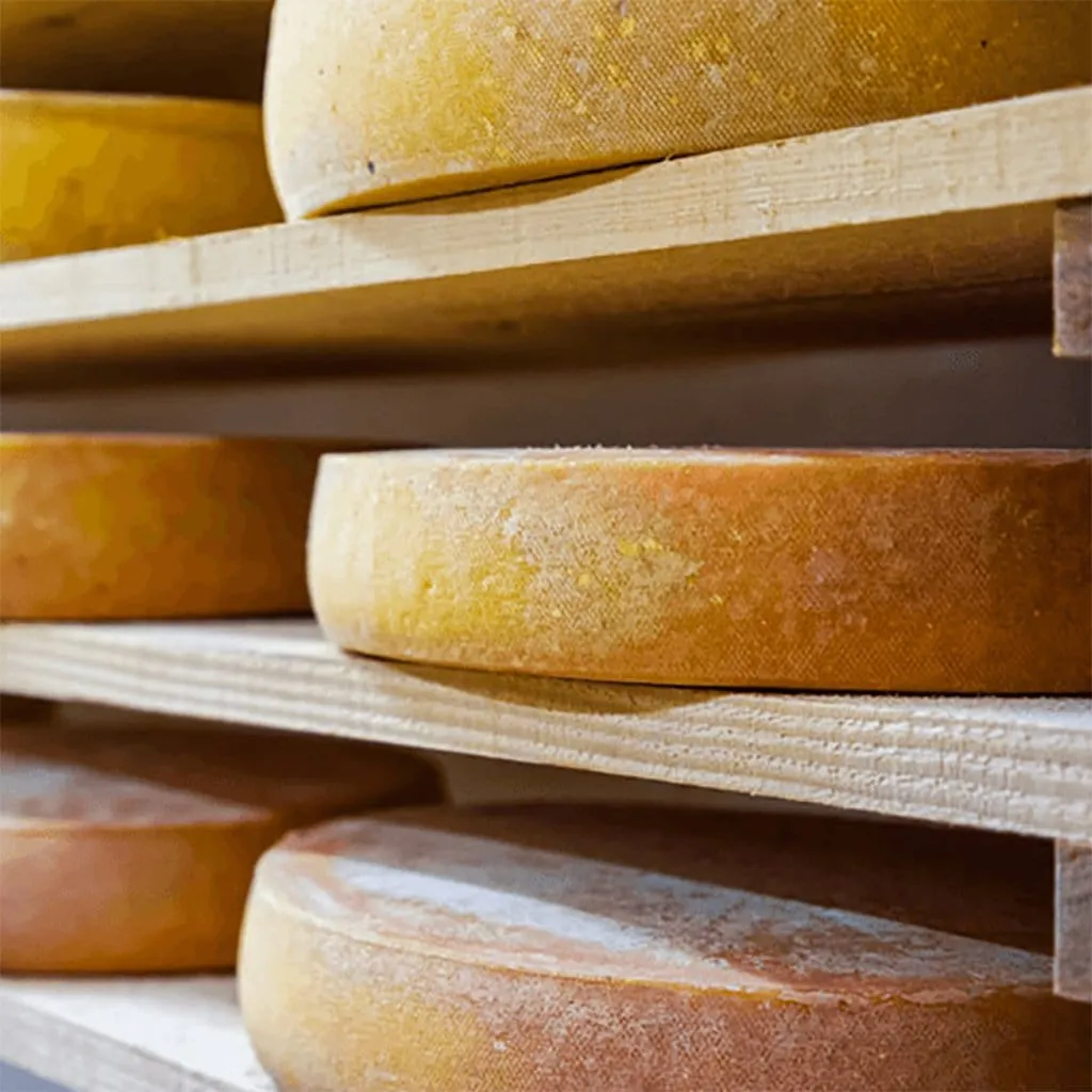Queso Appenzeller Eco